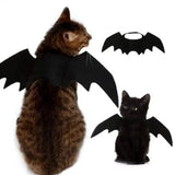 Bat Wings Costume for Cats & Dogs