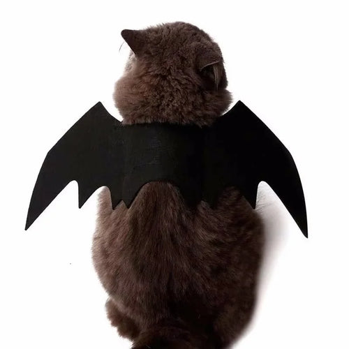 Bat Wings Costume for Cats & Dogs